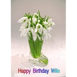 Bear Shooters; Greeting Card: Happy Birthday Wife
