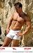 Men's Organic Cotton
