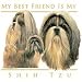 Dog T Shirts : Shih Tzu Adult Long Sleeve T-Shirt