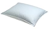 National Sleep Products Natural Down Gusset Pillow, Queen