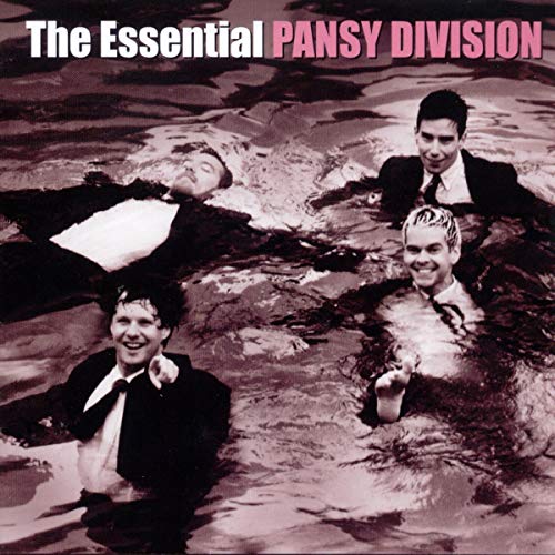 Pansy Division - The Essential Pansy Division - Zortam Music