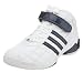 adidas Men's A3 Clutch Basketball Shoe (White/Indigo/Silver)