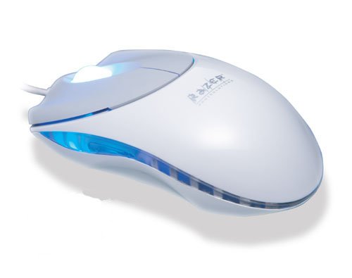 Speicherkarten: Razer Pro Solution 1.6 optische Maus 1600dpi
