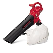 Troy-Bilt TB125QS Electric Blower