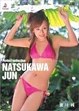 夏川純 Perfect collection