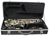 Infinity Black Alto Saxophone Sax Brand New With Case 2710BK