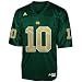 Adidas Notre Dame Fighting Irish #10 Green Replica Football Jersey