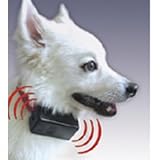 Bark Control Collar