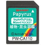 SHARP コンテンツカード 植物・昆虫図鑑カード PW-CA110 (PW-J5000対応)