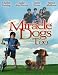   - Miracle Dogs Too