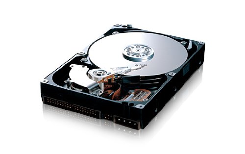 Festplatten: Samsung 300GB 7200rpm 8MB interne Festplatte ATA Retail