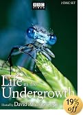 Life in the Undergrowth
