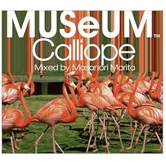 Studio Apartment - MUSeUM -Calliope-