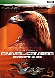 ANIMAL CAMERA2.Desert Skies