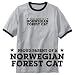 Search : RINGER T-SHIRT HEATHER GRAY 