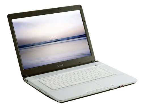 Festplatten: Sony Vaio VGN-FE11H 15,4 Zoll WXGA Notebook (Intel Centrino Core Duo 1,66GHz, 1GB RAM, 100GB HDD, DVD+-RW DL, Go7400, XPMediaCenter)
