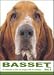   - THE DOG Notecard Vol. 1 - Basset Hound