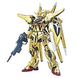 1/144 HG �����亮�����ĥ��������