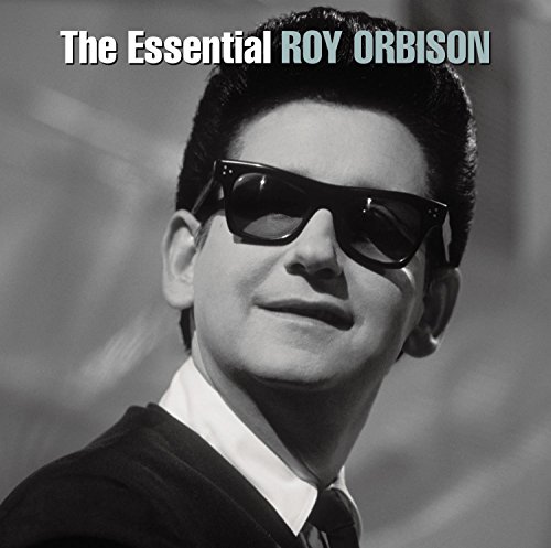 Roy Orbison - A Love So Beautiful Lyrics - Zortam Music