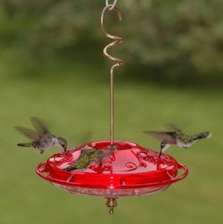 Hummzinger Fancy Hummingbird Feeder
