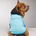 Mama's Boy BLUE DOGGY T-SHIRT - X-LARGE