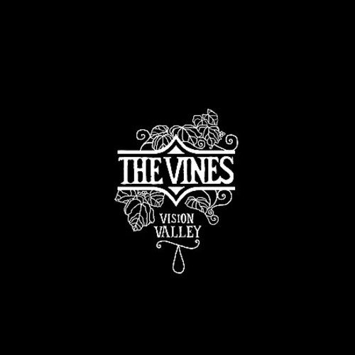 The Vines - Anysound Lyrics - Zortam Music