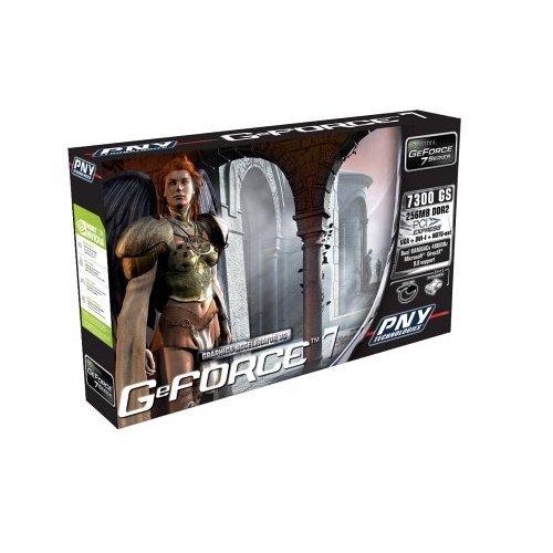 Projektoren: PNY NVidia Geforce 7 7300 GS Grafikkarte PCI Experss 256 MB DDR2 Ram HDTV, Retail
