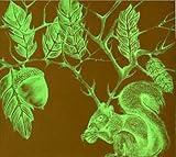 Ache Horns by 7 Year Rabbit Cycle