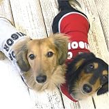 FULLロゴアップリケトレーナー(小型犬用、サイズ:NSS、カラー:13/グレー杢) 61-20102-N