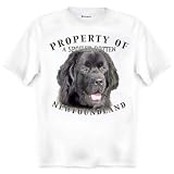 Newfoundland BLACK Property Of Adult T Shirt