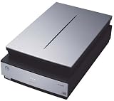 EPSON ����ꥪ ������� GT-X900