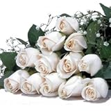 One Dozen Long Stemmed Premium White Roses