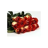 One Dozen Long Stemmed Premium Leonidas Roses