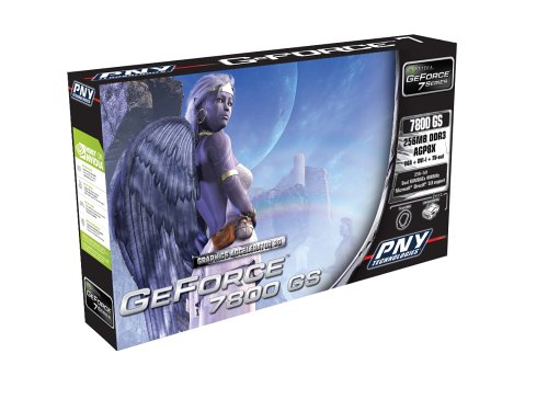 Projektoren: PNY NVIDIA Geforce 7800 GS AGP 8x 256MB RAM Grafikkarte, Retail