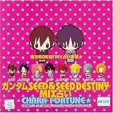 �K���_��SEED&SEED DESTINY MIX�肢(BOX)