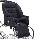 Inglesina Classic Stroller Seat and Hood