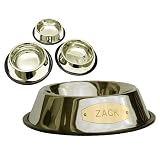 Stainless Steel Pet Bowl with Engraved Brass Plaque and Non-Skid Base