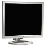 HP F1905E 19" LCD Flat Panel Monitor
