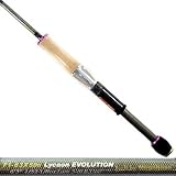 ¥á¥¬¥Ð¥¹ ¥Ç¥¹¥È¥í¥¤¥ä¡¼ ¥¨¥ô¥©¥ë¥¸¥ª¥ó F1-63XSDti LYCAON EVOLUTION