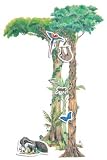 Bulletin Board Set LET'S CREATE A RAIN FOREST GR. 4-6 