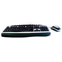 Festplatten: Sansun Multimedia Keyboard + Opt. Maus Tastatur PS/2 + Maus optisch Silber