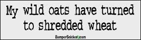 My wild oats have turned to Shredded Wheat - funny bumper stickers (Medium)