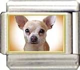 Clearly Charming Chihuahua Italian Charm