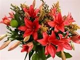 Lady in Red - Mother's Day Fresh Flowers