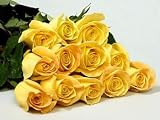 150 Long Stemmed Premium Yellow Roses - Mother's Day Fresh Flowers