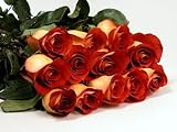 One Dozen Long Stemmed Premium Leonidas Roses - Mother's Day Fresh Flowers