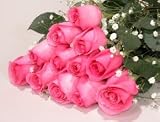 One Dozen Long Stemmed Premium Sapphire Pink Roses - Mother's Day Fresh Flowers