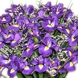 20 Fresh Iris - Mother's Day Fresh Flowers