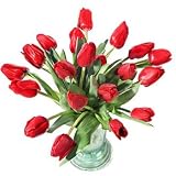 20 Premium Red Fresh Tulips - Mother's Day Fresh Flowers