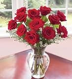 One Dozen Long Stemmed Premium Red Roses - Mother's Day Fresh Flowers